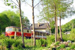 Bild: MzB als Gartenbahn