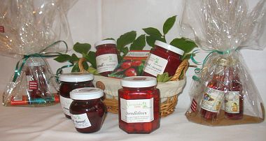 Titelbild shop_15.jpg